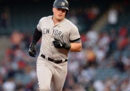 luke voit