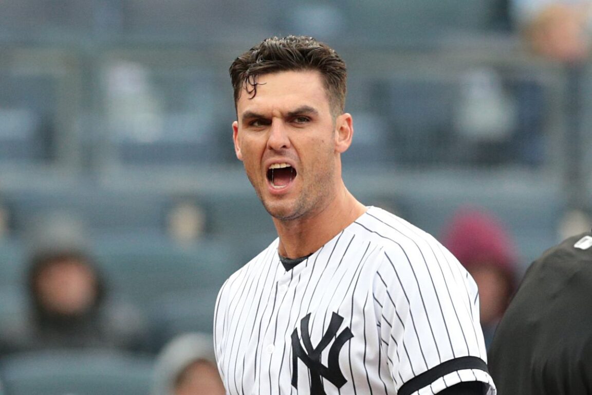 greg bird