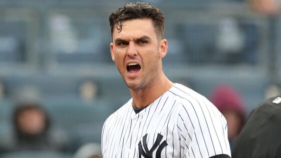 greg bird