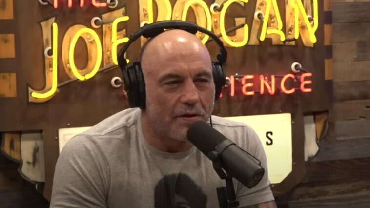 joe rogan