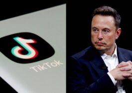 elon musk tiktok