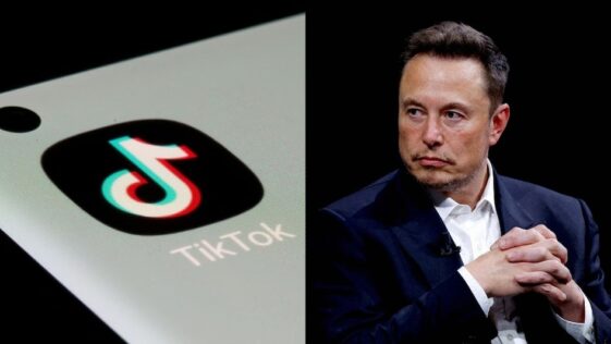 elon musk tiktok