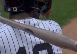 yankees bats