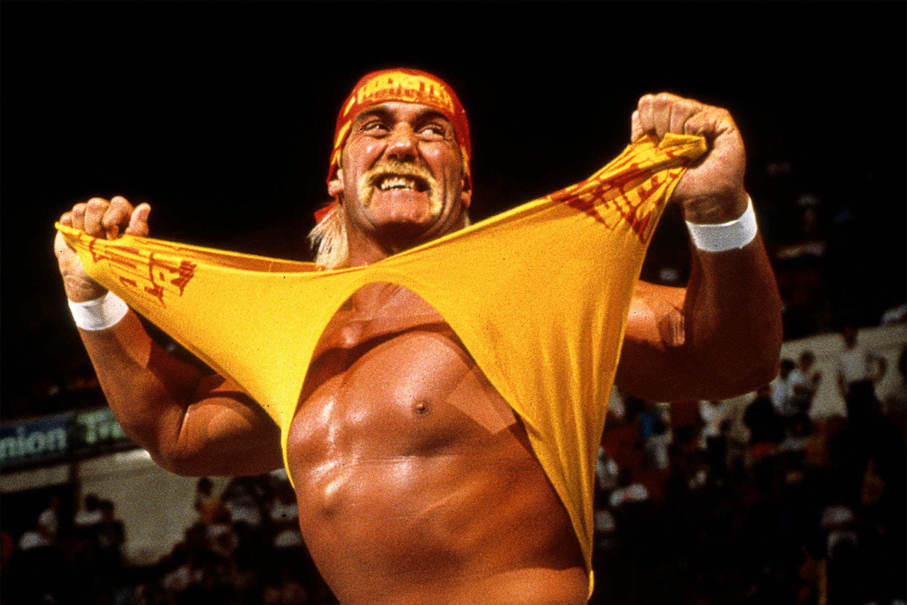 hulk hogan